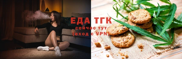 прущие грибы Ельня
