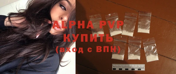 прущие грибы Ельня