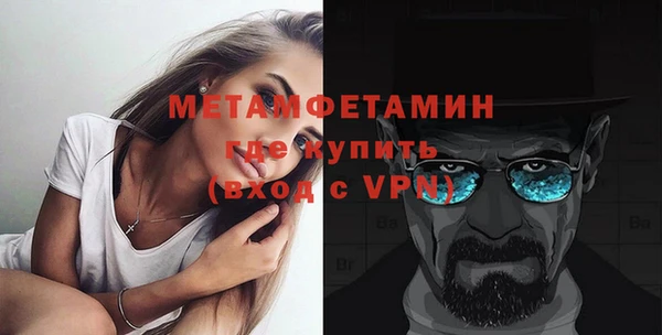 прущие грибы Ельня
