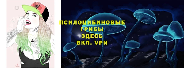 прущие грибы Ельня