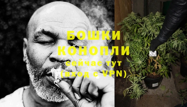 прущие грибы Ельня