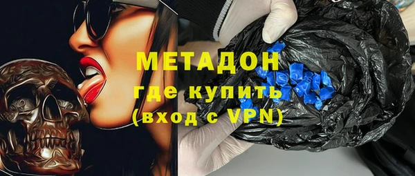 прущие грибы Ельня