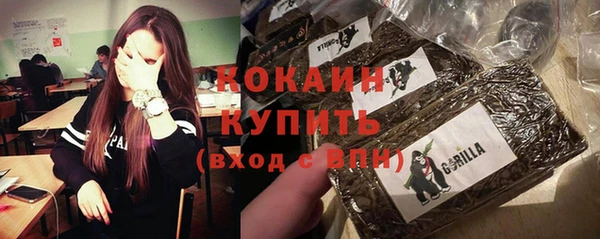 прущие грибы Ельня