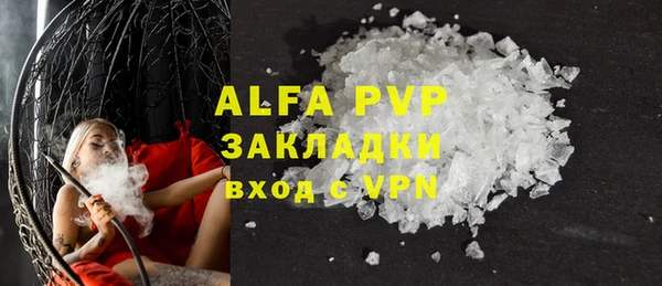 прущие грибы Ельня