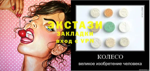 прущие грибы Ельня