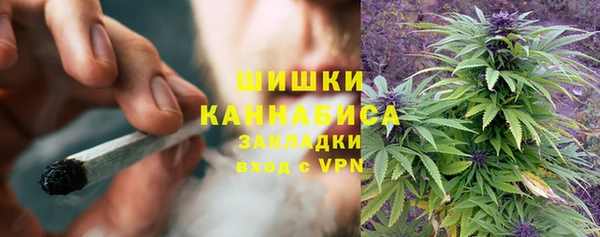 экстази Заводоуковск