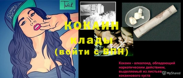 прущие грибы Ельня