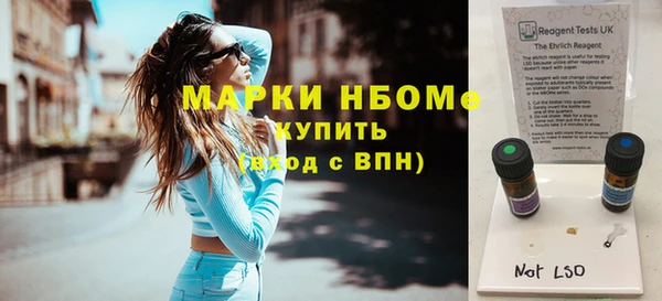 прущие грибы Ельня