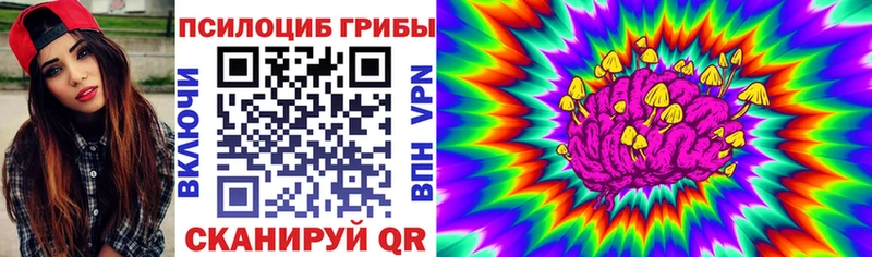 Купить где  Завитинск  Псилоцибиновые грибы MAGIC MUSHROOMS 